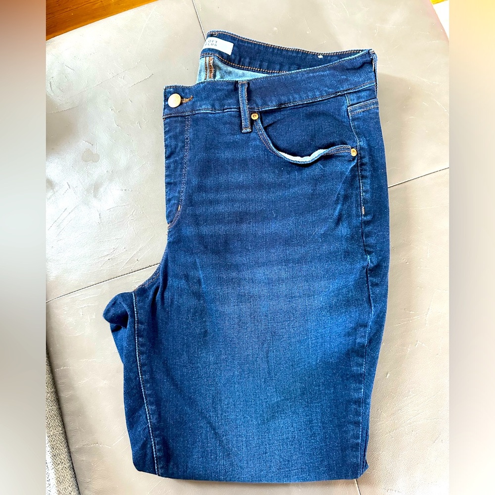 LOFT Plus non-distressed skinny jean